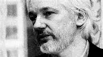 Assange