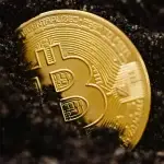 Bitcoin Halving Countdown