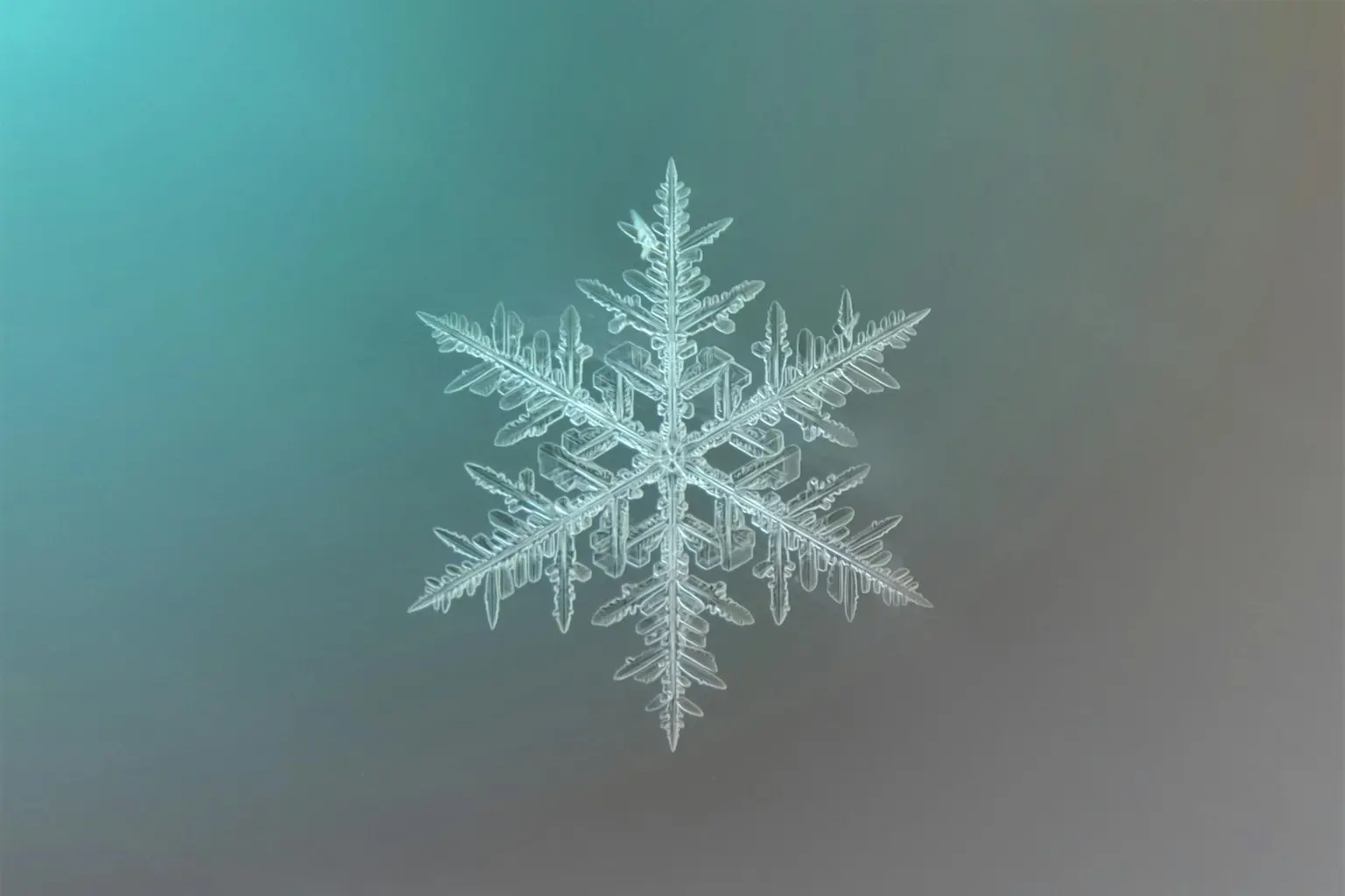 So wie die Schneeflocke Ordnung aus Naturgesetzen formt,
entsteht bei Bitcoin Ordnung aus Anreizen und Kryptographie.