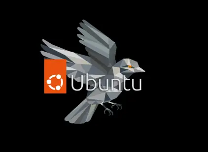 Wie installiere und verifiziere ich Sparrow Wallet auf Ubuntu (2/4)