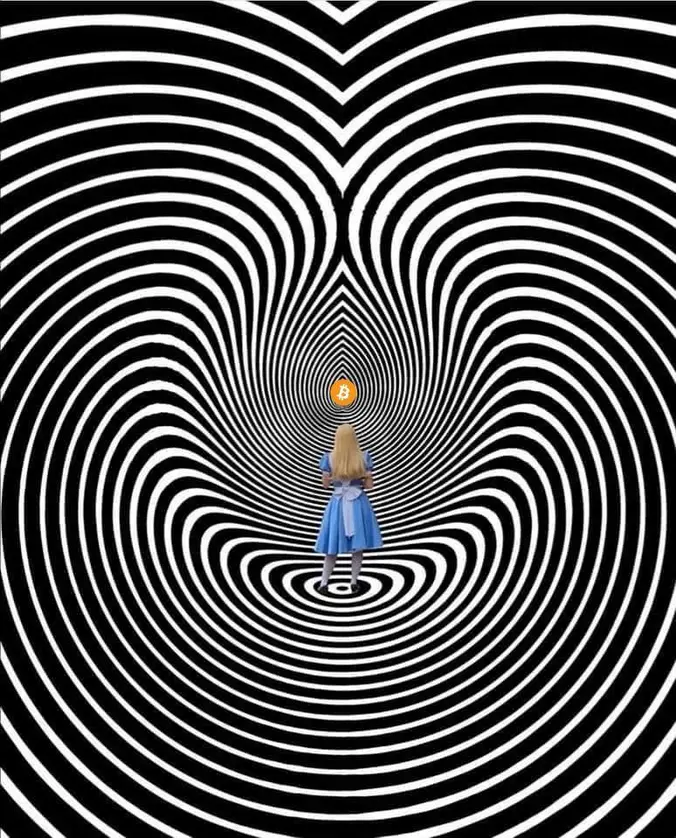 Was ist das Bitcoin Rabbithole?