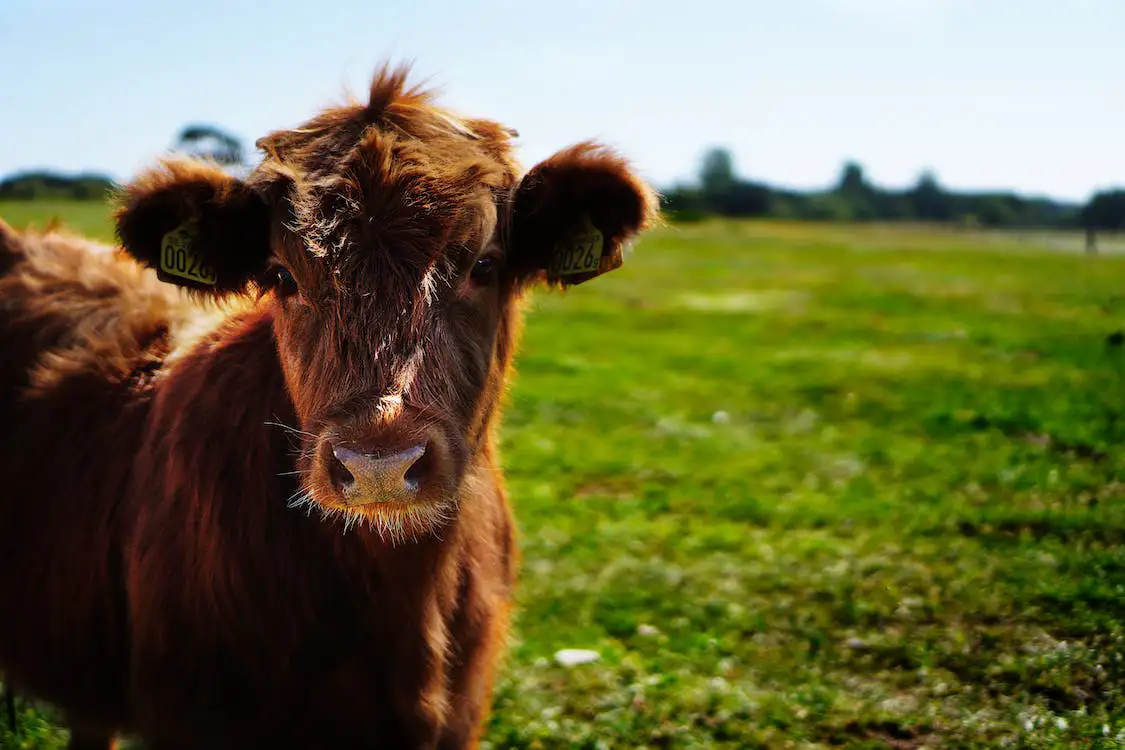 Bitcoin für Landwirte und Bauern