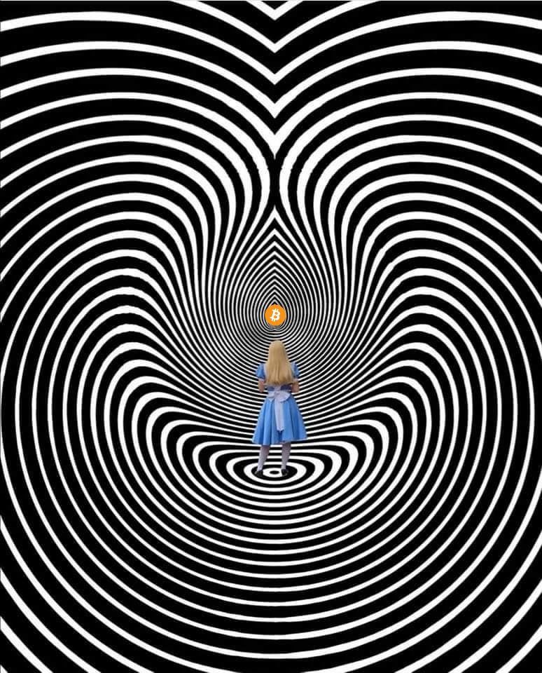 Was ist das Bitcoin Rabbithole?