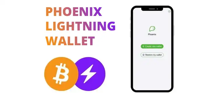 Phoenix Lightning Wallet einrichten