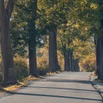 Wer baut dann die Straßen