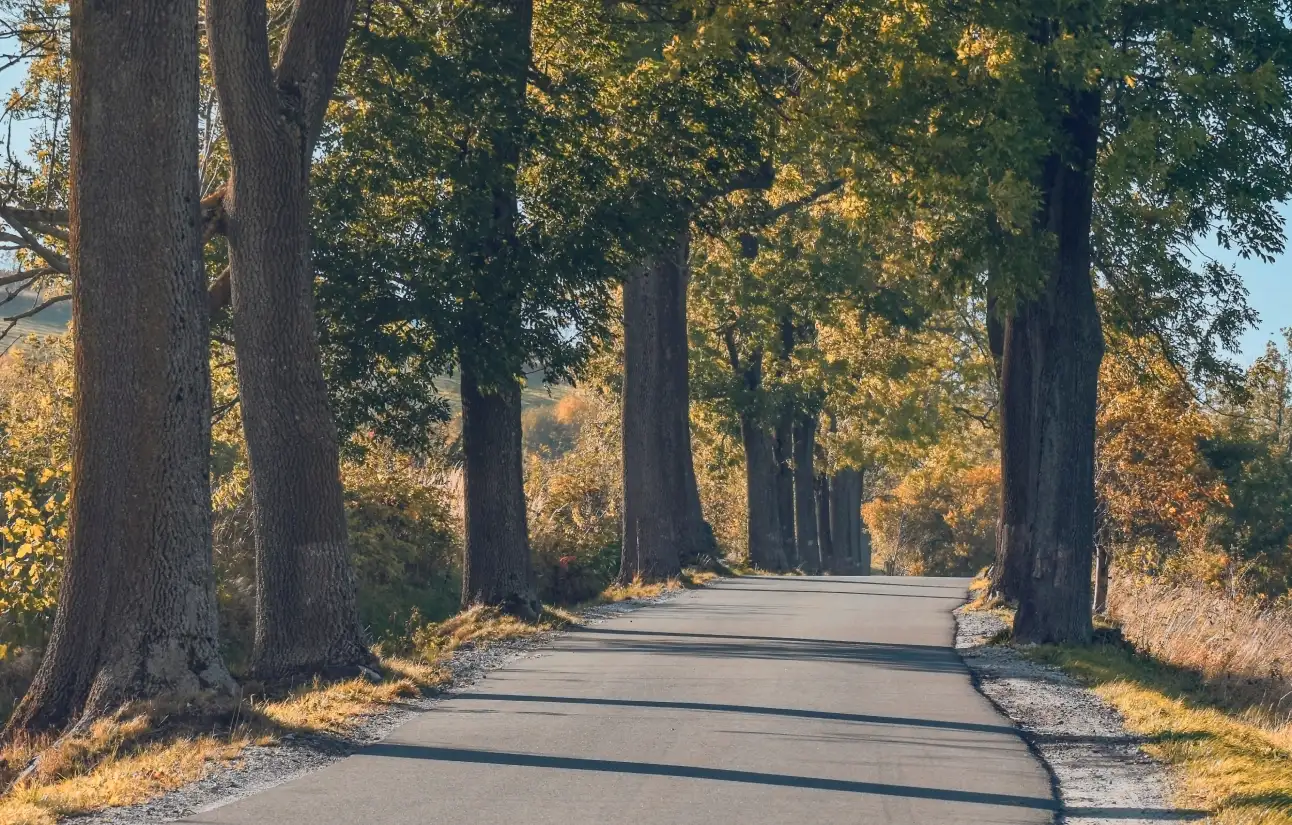 „Wer baut dann die Straßen?" — Warum die berühmteste Frage der Politikdebatte die falsche ist