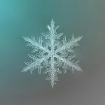 Warum Menschen ohne autoritäre Ordnung leben können